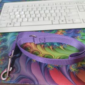 Nylon Material Wear-resistant Traction Dog Traction Rope (Option: Purple-2.5x120cm)