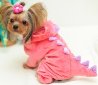Halloween Dog Clothes Stretch Dinosaur Transformation Costume (Option: Pink-XXXL)
